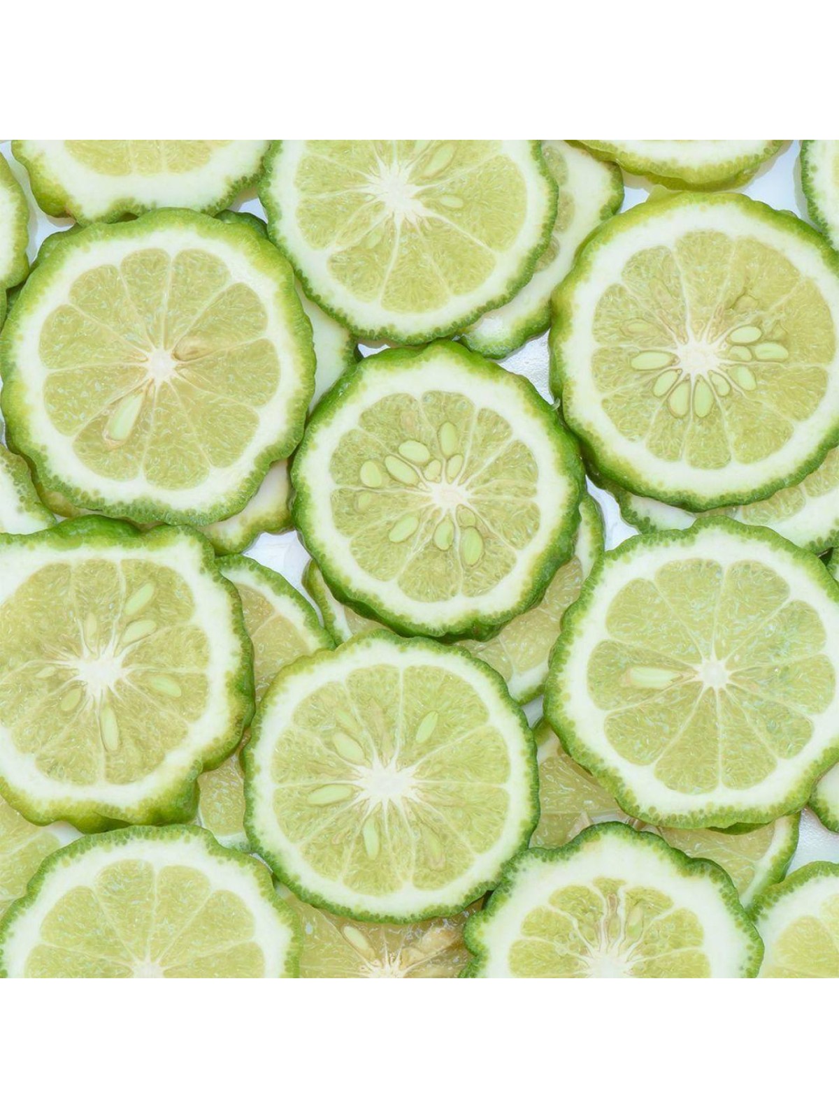 Duft für Ihn 079 Olfazeta Millesime ¦ LS DIFFUSION Shop