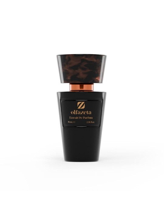 Parfum homme 079 Olfazeta Millesime 70 ml