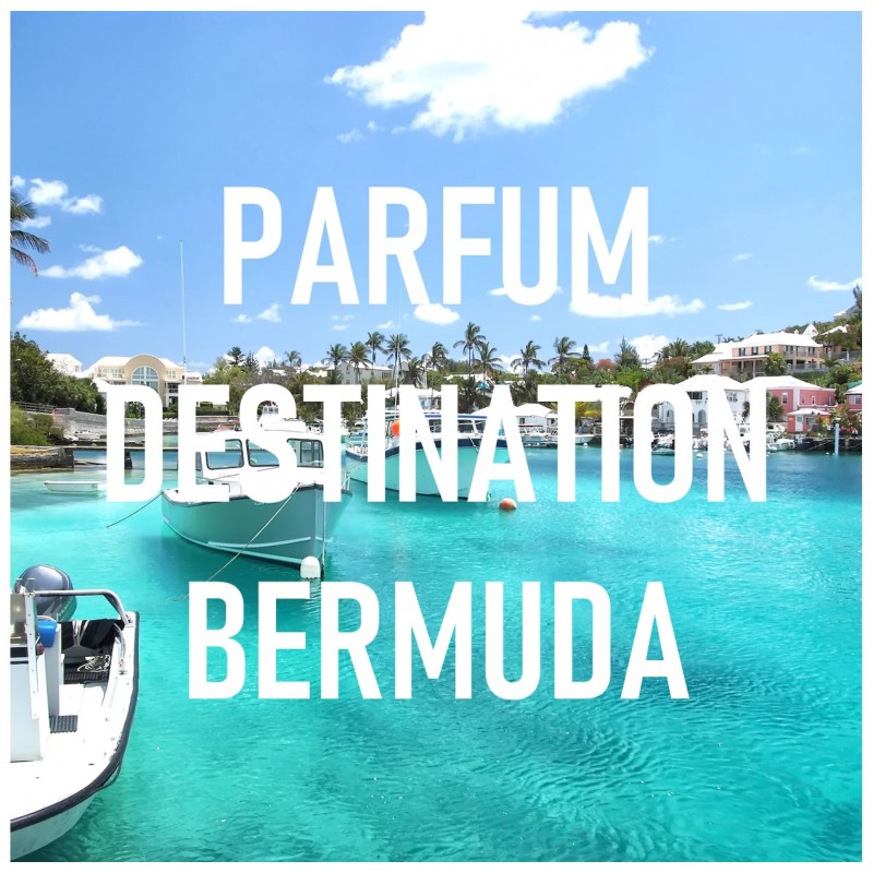 Parfum BERMUDA - 10 ¦ Parfum pour femme ¦ LS DIFFUSION Shop